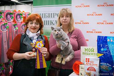 �������� ����� 17-18 ����� 2018