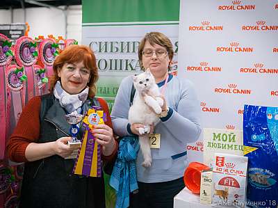 �������� ����� 17-18 ����� 2018