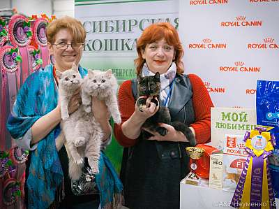 �������� ����� 17-18 ����� 2018