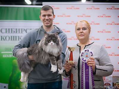 �������� ����� 17-18 ����� 2018