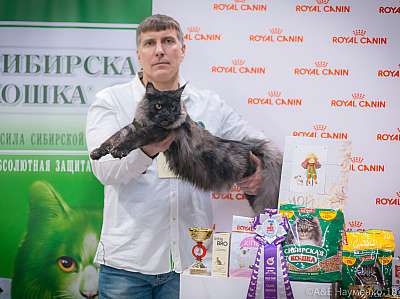 �������� ����� 17-18 ����� 2018