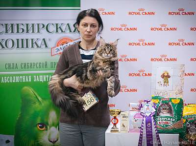 �������� ����� 17-18 ����� 2018