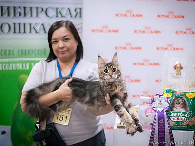 �������� ����� 17-18 ����� 2018