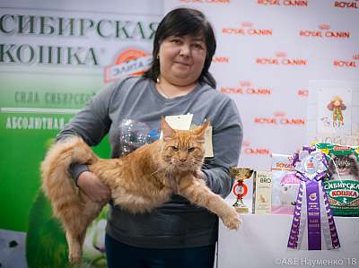 �������� ����� 17-18 ����� 2018