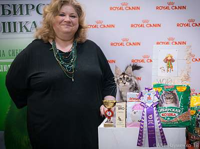 �������� ����� 17-18 ����� 2018