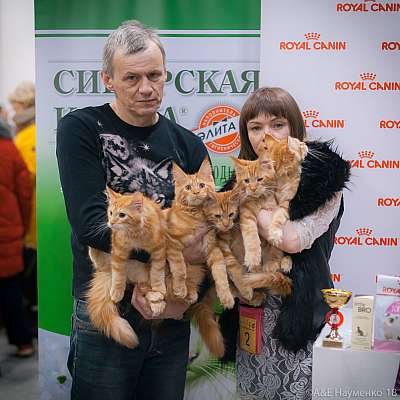 �������� ����� 17-18 ����� 2018