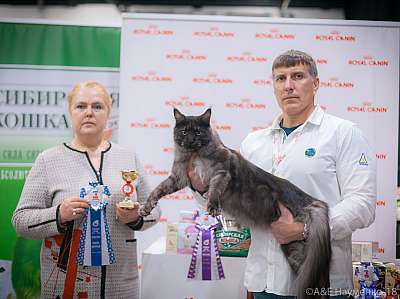 �������� ����� 17-18 ����� 2018