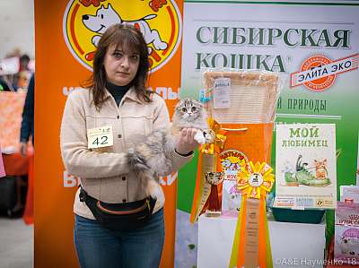 �������� ����� 17-18 ����� 2018