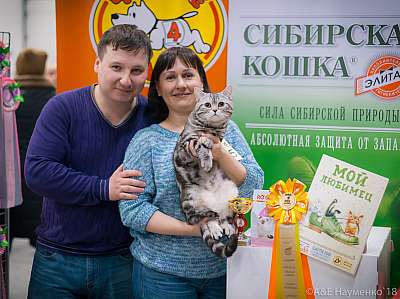 �������� ����� 17-18 ����� 2018