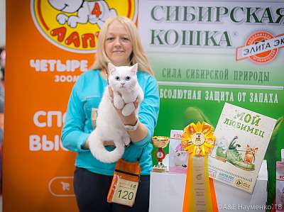 �������� ����� 17-18 ����� 2018