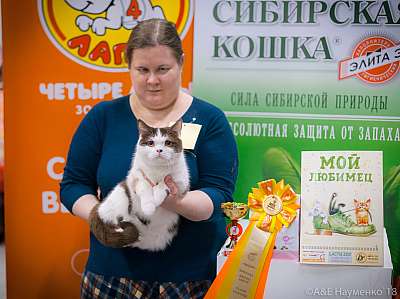 �������� ����� 17-18 ����� 2018