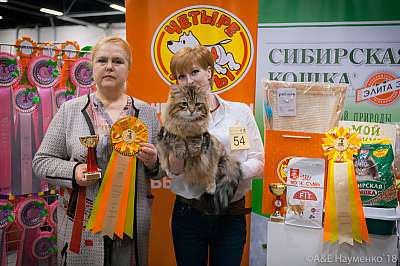 �������� ����� 17-18 ����� 2018