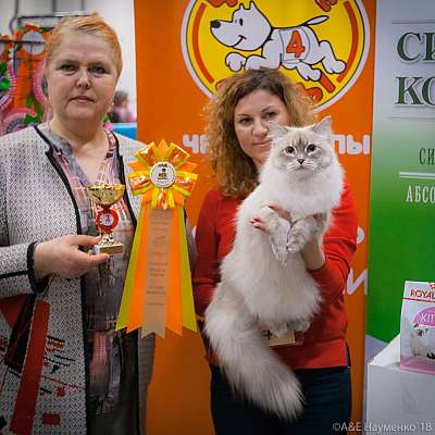 �������� ����� 17-18 ����� 2018