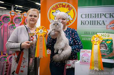 �������� ����� 17-18 ����� 2018