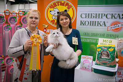 �������� ����� 17-18 ����� 2018