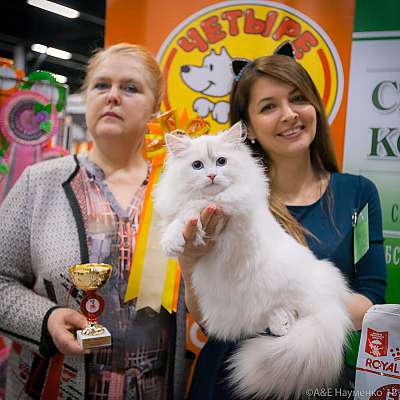 �������� ����� 17-18 ����� 2018