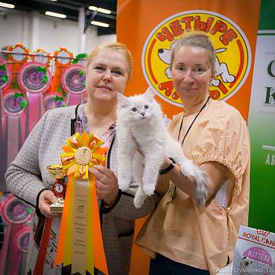 �������� ����� 17-18 ����� 2018