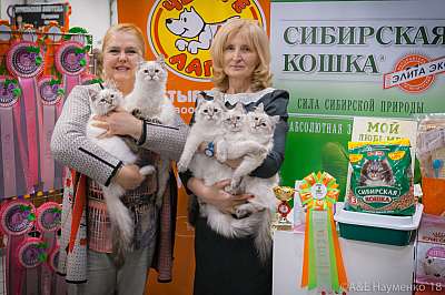 �������� ����� 17-18 ����� 2018