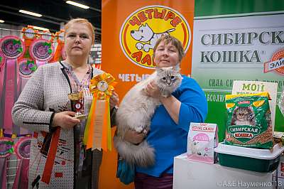 �������� ����� 17-18 ����� 2018