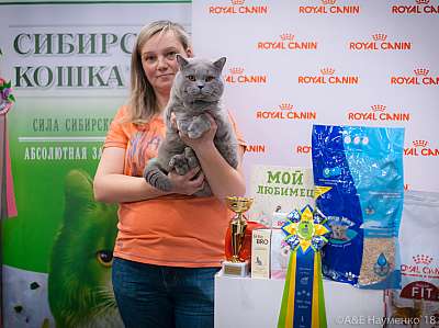 �������� ����� 17-18 ����� 2018