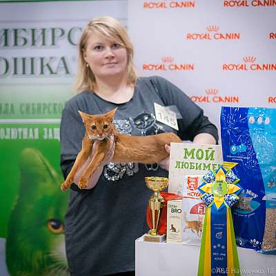 �������� ����� 17-18 ����� 2018