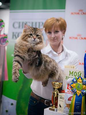 �������� ����� 17-18 ����� 2018