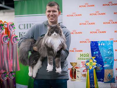 �������� ����� 17-18 ����� 2018