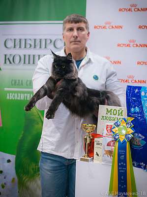 �������� ����� 17-18 ����� 2018