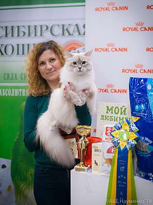 �������� ����� 17-18 ����� 2018