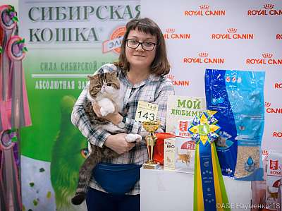 �������� ����� 17-18 ����� 2018