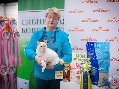 �������� ����� 17-18 ����� 2018