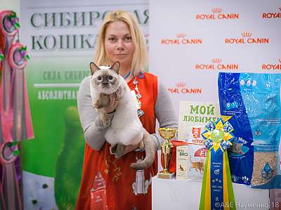 �������� ����� 17-18 ����� 2018