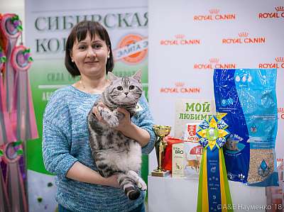 �������� ����� 17-18 ����� 2018