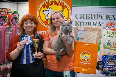 �������� ����� 17-18 ����� 2018