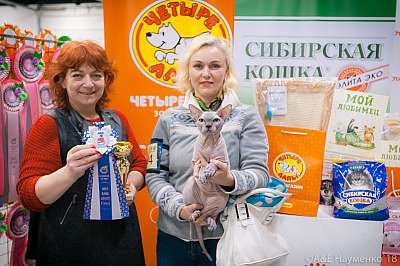 �������� ����� 17-18 ����� 2018