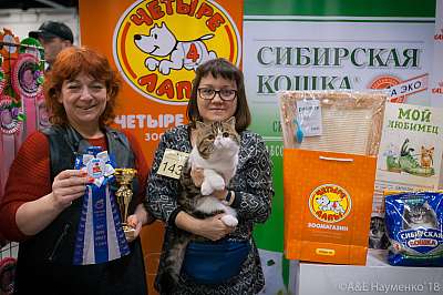 �������� ����� 17-18 ����� 2018