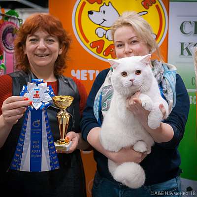 �������� ����� 17-18 ����� 2018