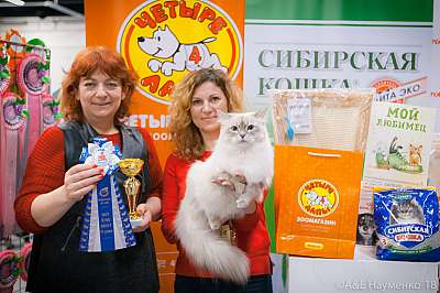 �������� ����� 17-18 ����� 2018