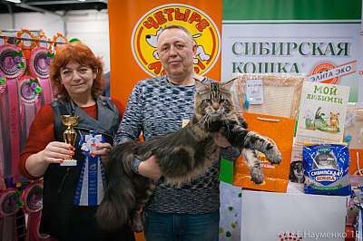 �������� ����� 17-18 ����� 2018