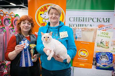 �������� ����� 17-18 ����� 2018