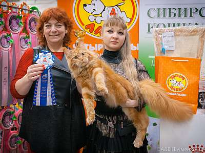 �������� ����� 17-18 ����� 2018