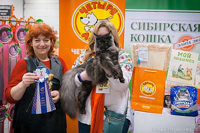 �������� ����� 17-18 ����� 2018