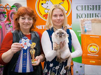 �������� ����� 17-18 ����� 2018