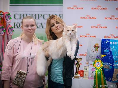 �������� ����� 17-18 ����� 2018