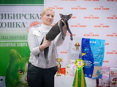 �������� ����� 17-18 ����� 2018