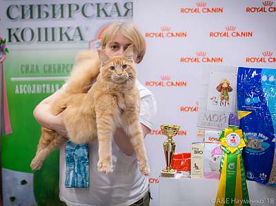 �������� ����� 17-18 ����� 2018