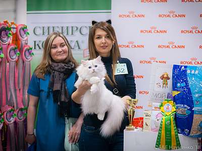 �������� ����� 17-18 ����� 2018