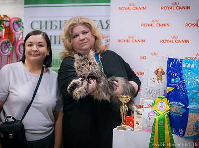 �������� ����� 17-18 ����� 2018