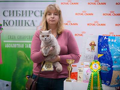 �������� ����� 17-18 ����� 2018