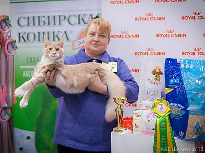 �������� ����� 17-18 ����� 2018